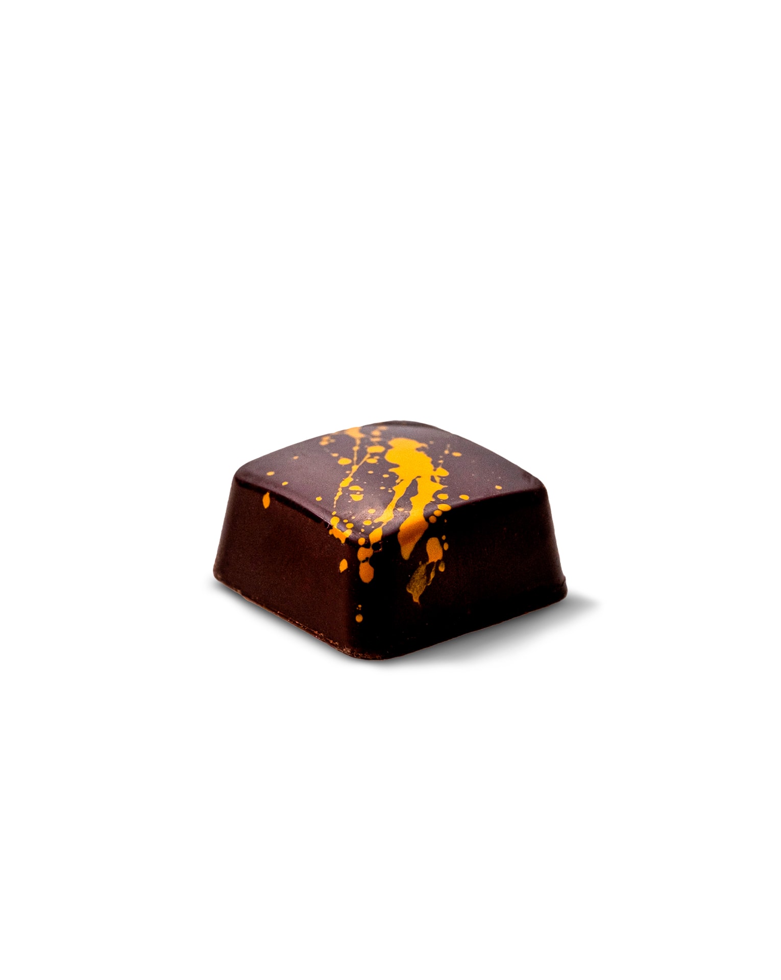 pralina-7_1